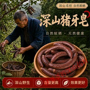 深山野生猪牙皂500g正品中药材小皂角荚小皂荚猪牙皂角牙皂角皂