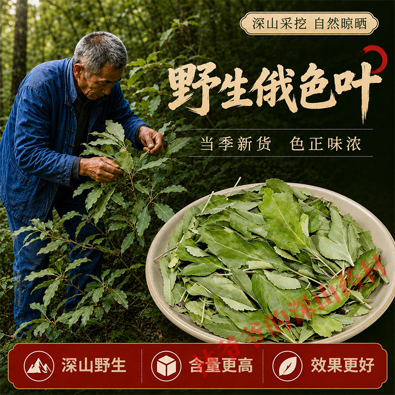 深山野生俄色叶500g正品中药材