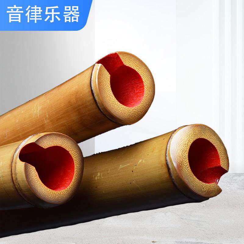 专业演奏南萧开口大头桂竹素萧竹根G一节南音萧F调8孔萧笛成人