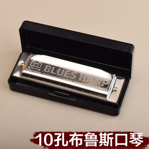 布鲁斯C调10孔口琴成人儿童初学零基础入门便携吹奏盒装小乐器
