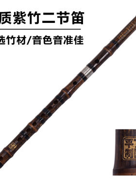紫竹二节笛子横笛丁国平制精品竹笛成人儿童初学民族乐器GFEDC
