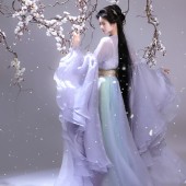 款 修身 衫 华姿仪赏白玉兰千香引女仙气飘飘影视风荷叶大袖