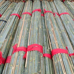 竹片竹条农用毛竹片大小菜棚小拱棚龙骨蔬菜温棚搭架竹篱笆竹栅栏