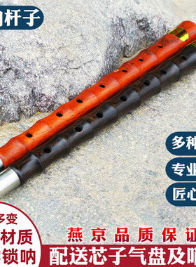 唢呐乐器初学者黑檀乌木红檀锁呐杆配件D调降BCG民间红白事大小号