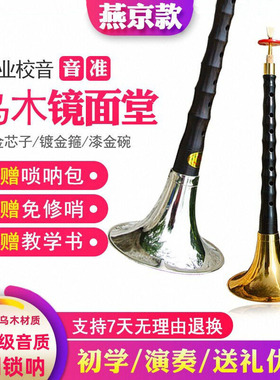唢呐乐器全套黑檀乌木演奏锁呐D调降b调初学专业级红白事大中小号