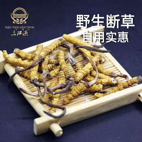 三江源冬虫夏草青海玉树断草
