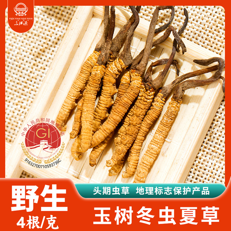 三江源冬虫夏草野生虫草新草青海虫草4根1g玉树冬虫夏草 高海拔