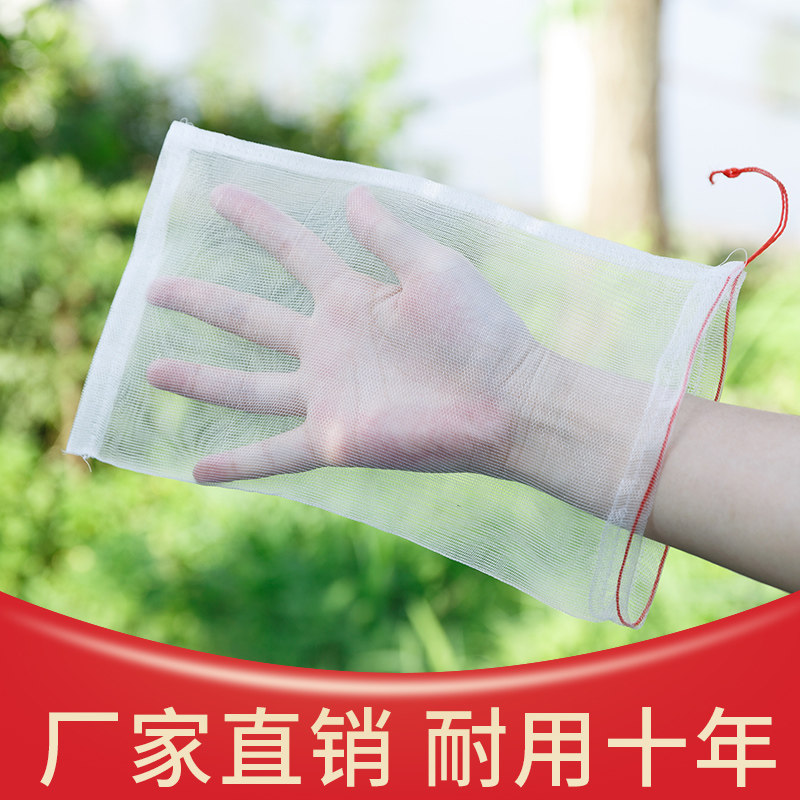 尼龙网袋套袋浸种水稻