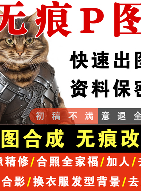 专业p图修图无痕P图照片处理ps换背景批抠改字全家福合影人像精修