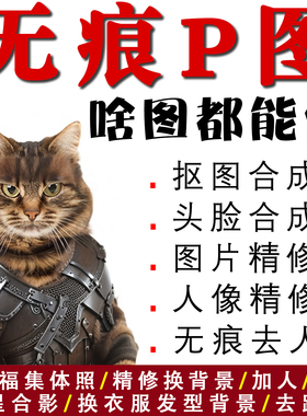 专业p图修图无痕P图照片处理ps换背景批抠改字全家福合影人像精修