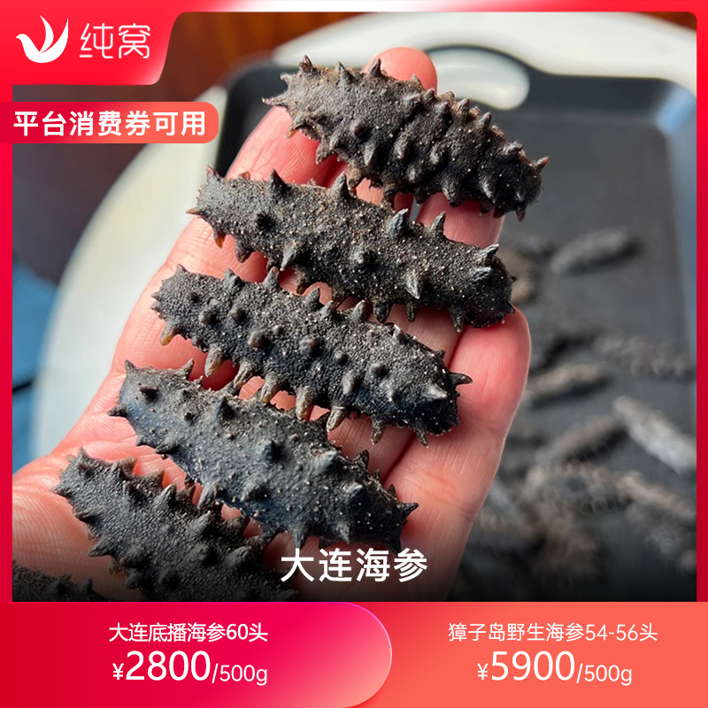 纯窝 辽参大连底播野生海参干货 纯淡干4排刺参海参辽参500克