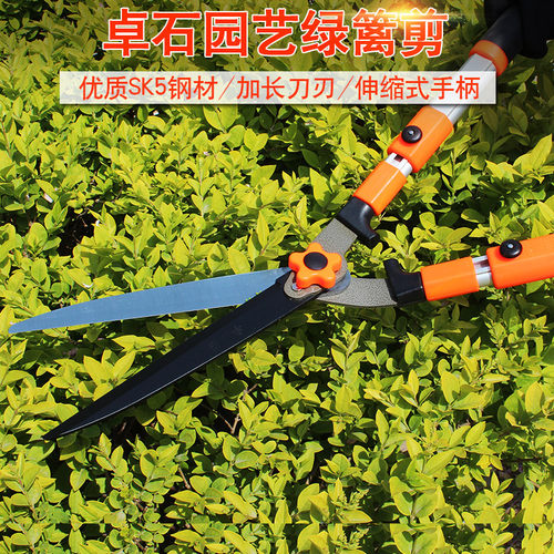 伸缩修枝绿化花草家用园艺剪刀