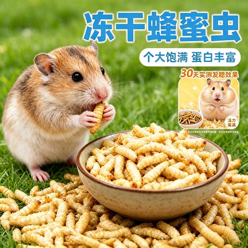 仓鼠零食冻干蜂蜜虫金丝熊粮食玉米虫蜜袋鼯花枝鼠蛋白质增肥发腮