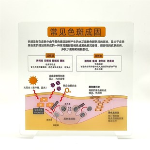 医美知识展示牌四大问题肌肤成因亚克力桌牌高颜值桌牌斑敏痘衰