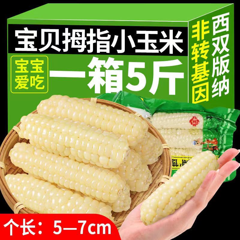 山姆超市西双版纳宝贝拇指小玉米真空装白糯珍珠迷你即食甜糯儿童