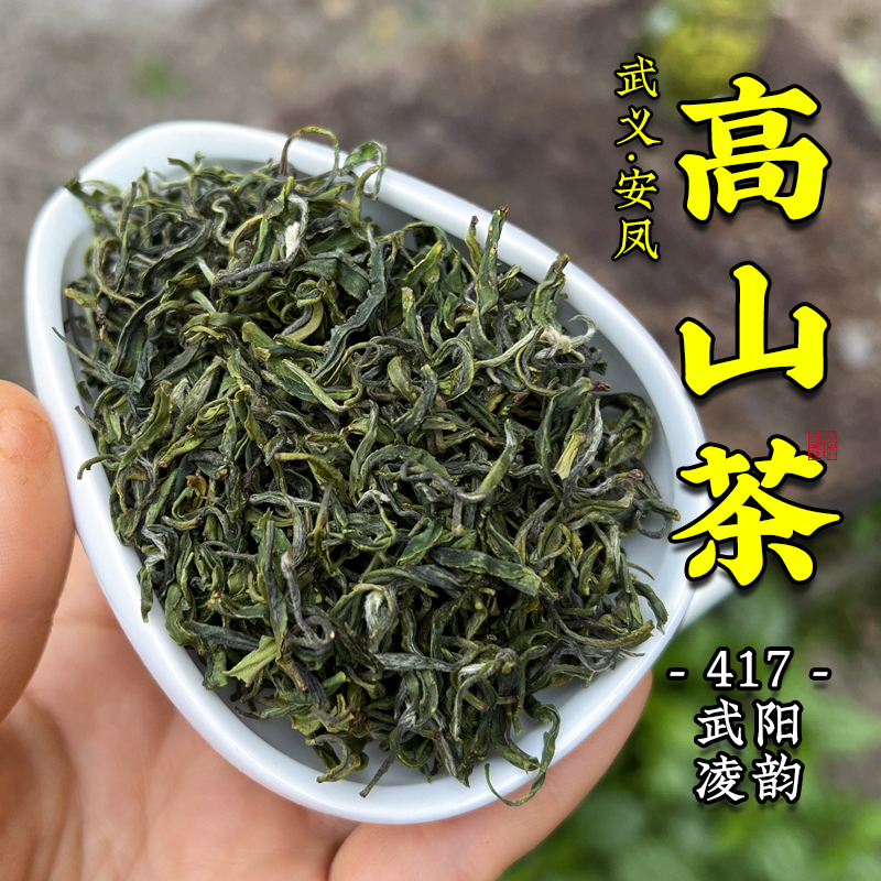 417武阳凌韵 群体种土茶 高山毛峰绿茶 2025新茶 50g