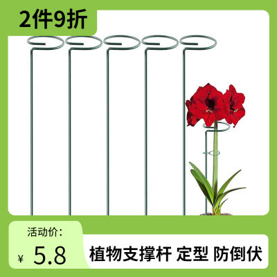 花支撑架盆栽必备小件绿植伴侣