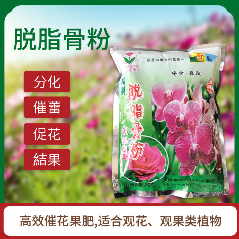 骨粉长效绿植盆栽观果