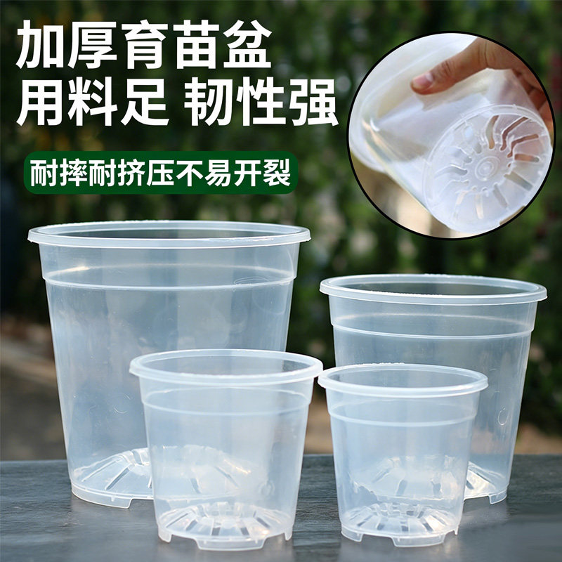 透明塑料空气柱兰花盆防烂根图片