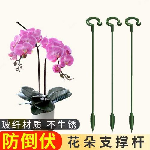 蝴蝶兰支架支撑杆包邮