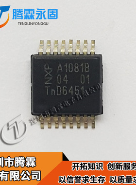 TJA1081BTS 全新原装 TJA1081 现货热卖供应 A1081B