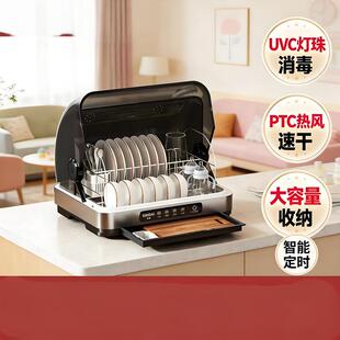 杯子置物柜式厨房消毒柜家用小型幼儿园沥水盒家庭用餐具消毒柜
