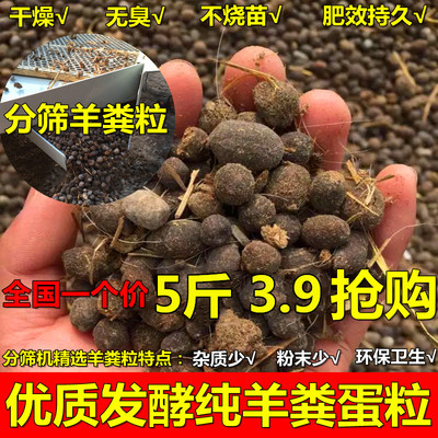 包邮羊粪蛋羊屎肥生物植物通用肥料羊肚粪肥发酵羊种粪颗粒鸡粪肥