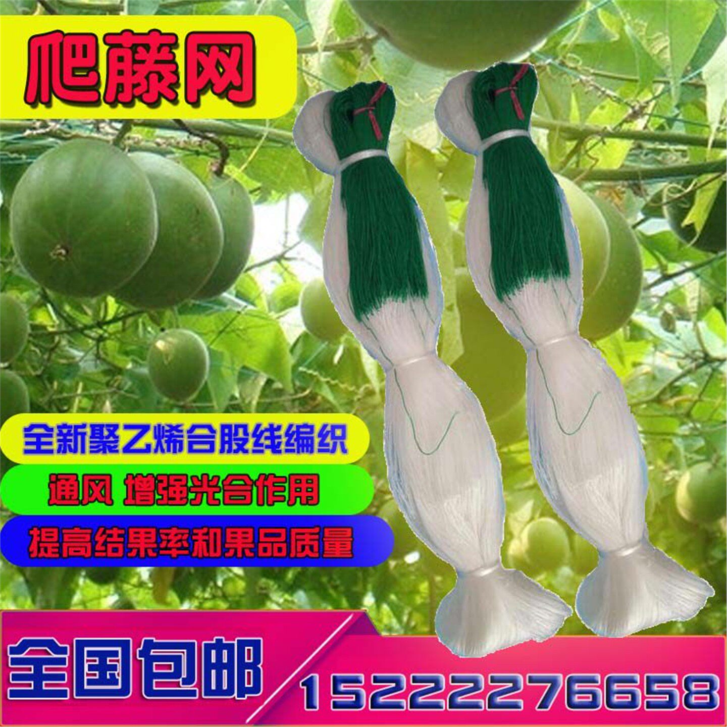 爬藤网植物攀山药豆角黄瓜