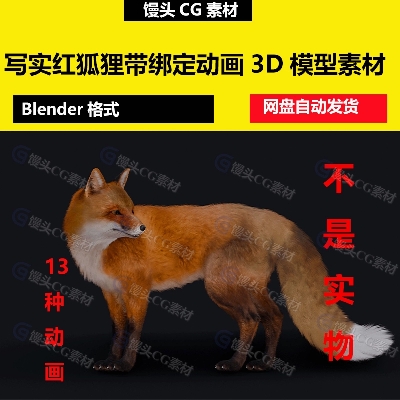 Blender写实高质量红狐狸带4K贴图毛发骨骼绑定和动画3D模型maya