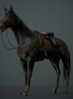 真实写实马模型材质 hourse FBX 3dmax