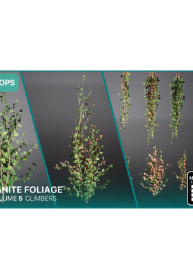 UE5.1爬山虎藤蔓墙面植物模型Nanite Foliage Vol5 Climbers