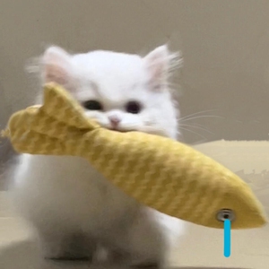 猫薄荷麻布鱼玩具自嗨解闷幼猫耐咬磨牙宠物猫咪玩具仿真鱼逗猫棒