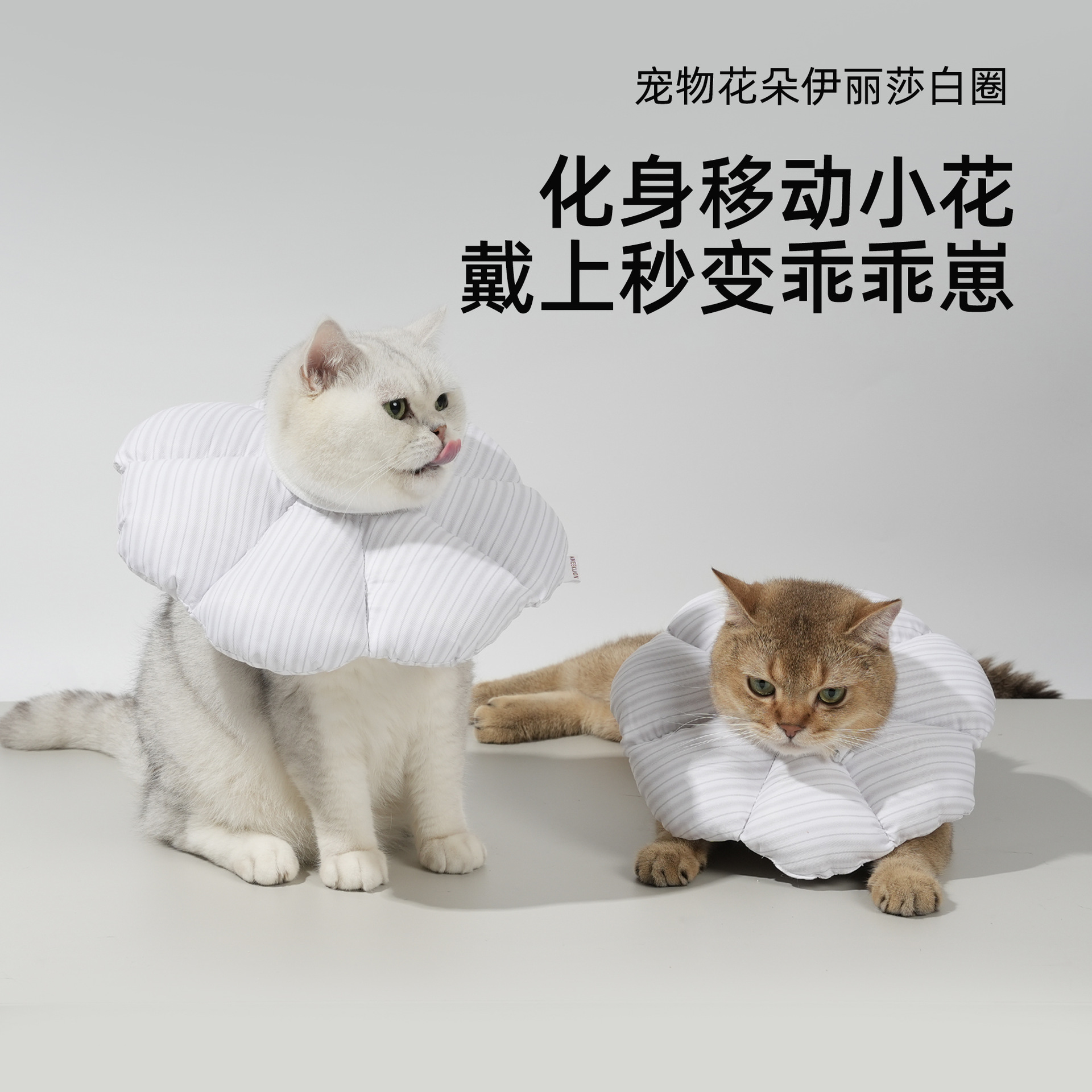 宠物花朵伊丽莎白圈猫咪绝育项圈术后防舔防咬羞耻圈小型犬软脖圈