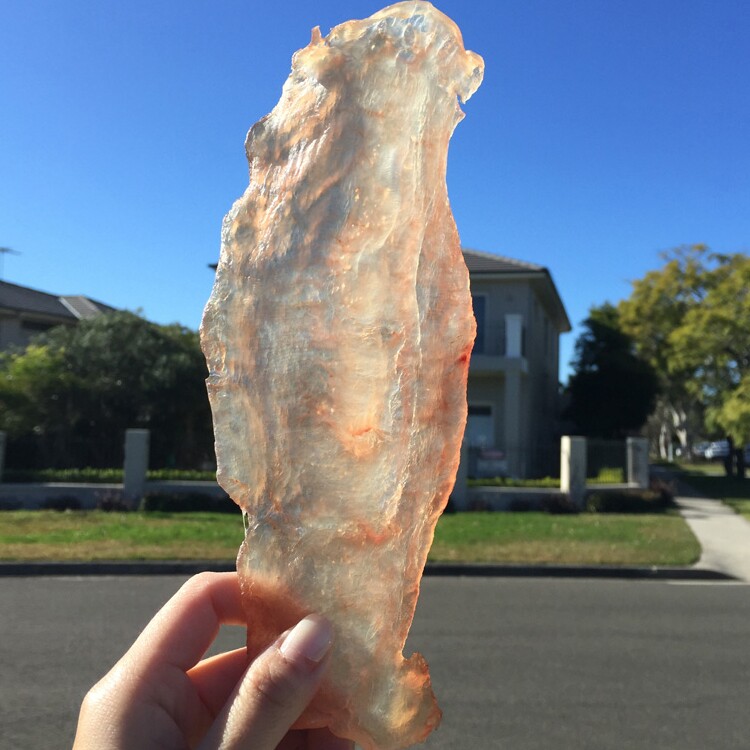 倩妈咪新西兰深海鳕鳘鱼花胶鱼肚天然海鲜干货白二级130克8年龄