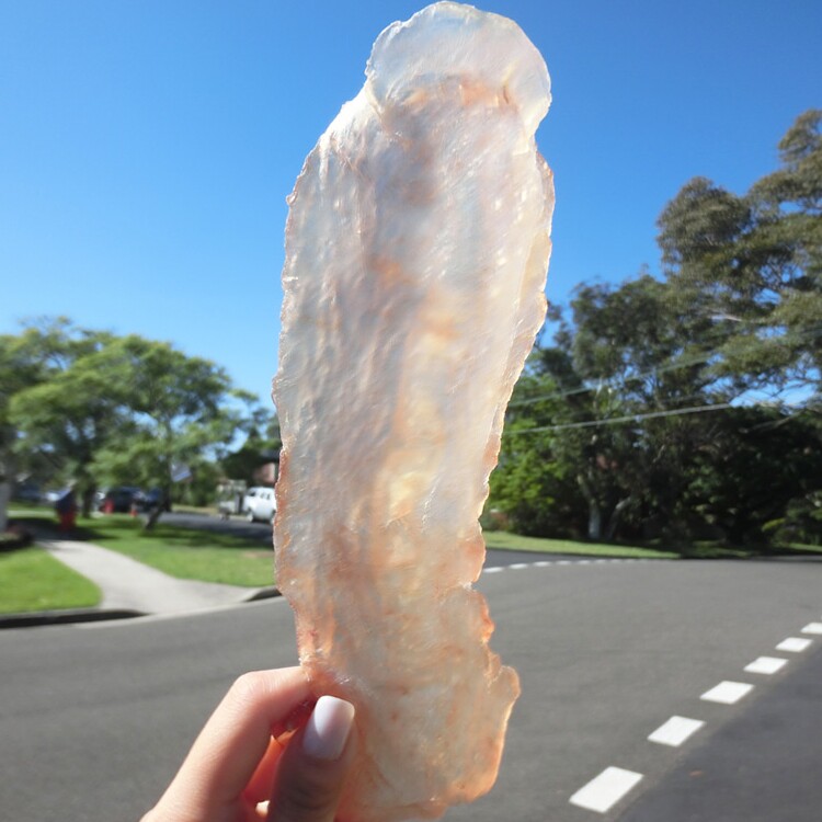 倩妈咪的花胶深海新西兰鳕鱼鳔干货正品鱼肚白一280克10年龄