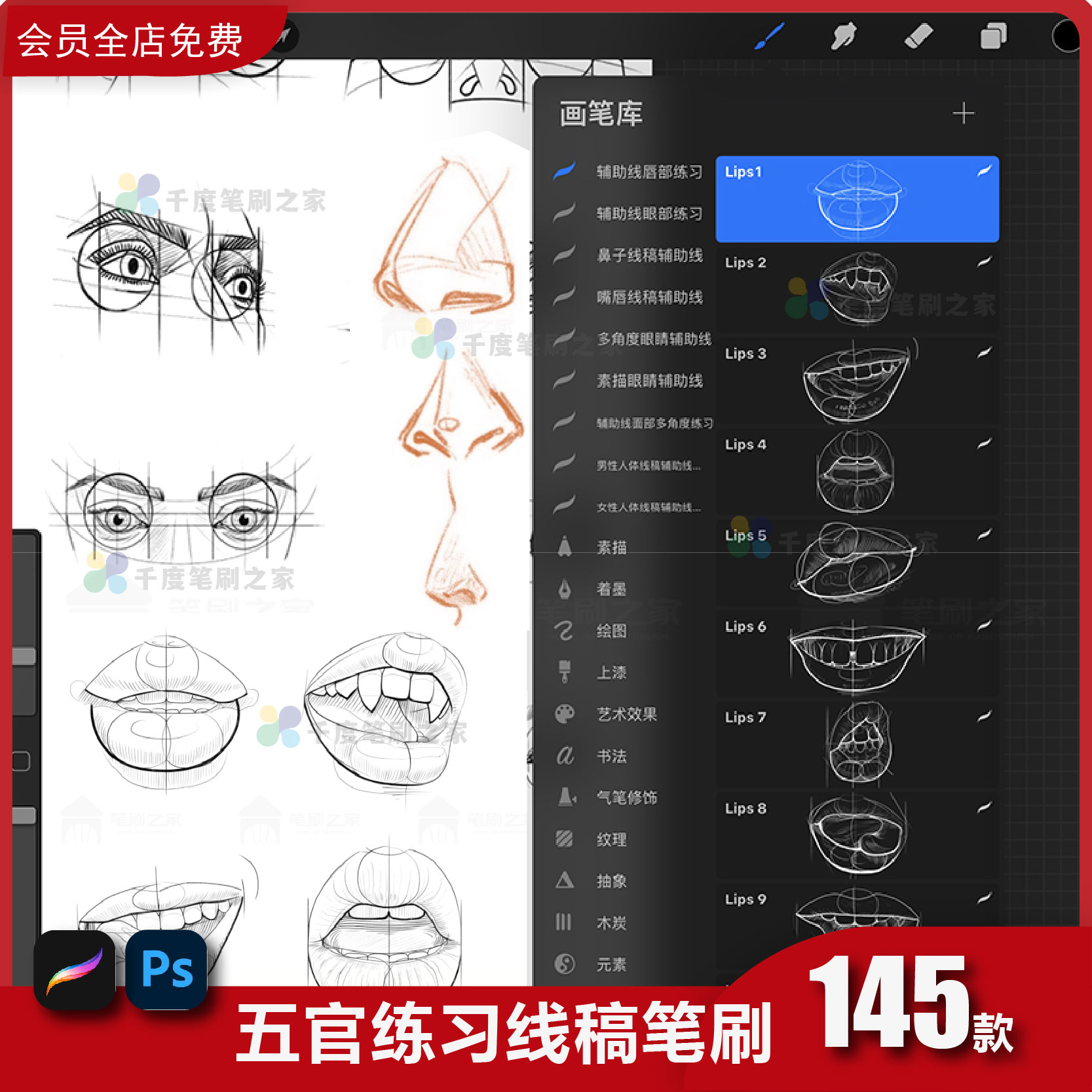 procreate笔刷人像五官素描线稿练习嘴唇眼睛鼻子ipad素材PS画笔-封面