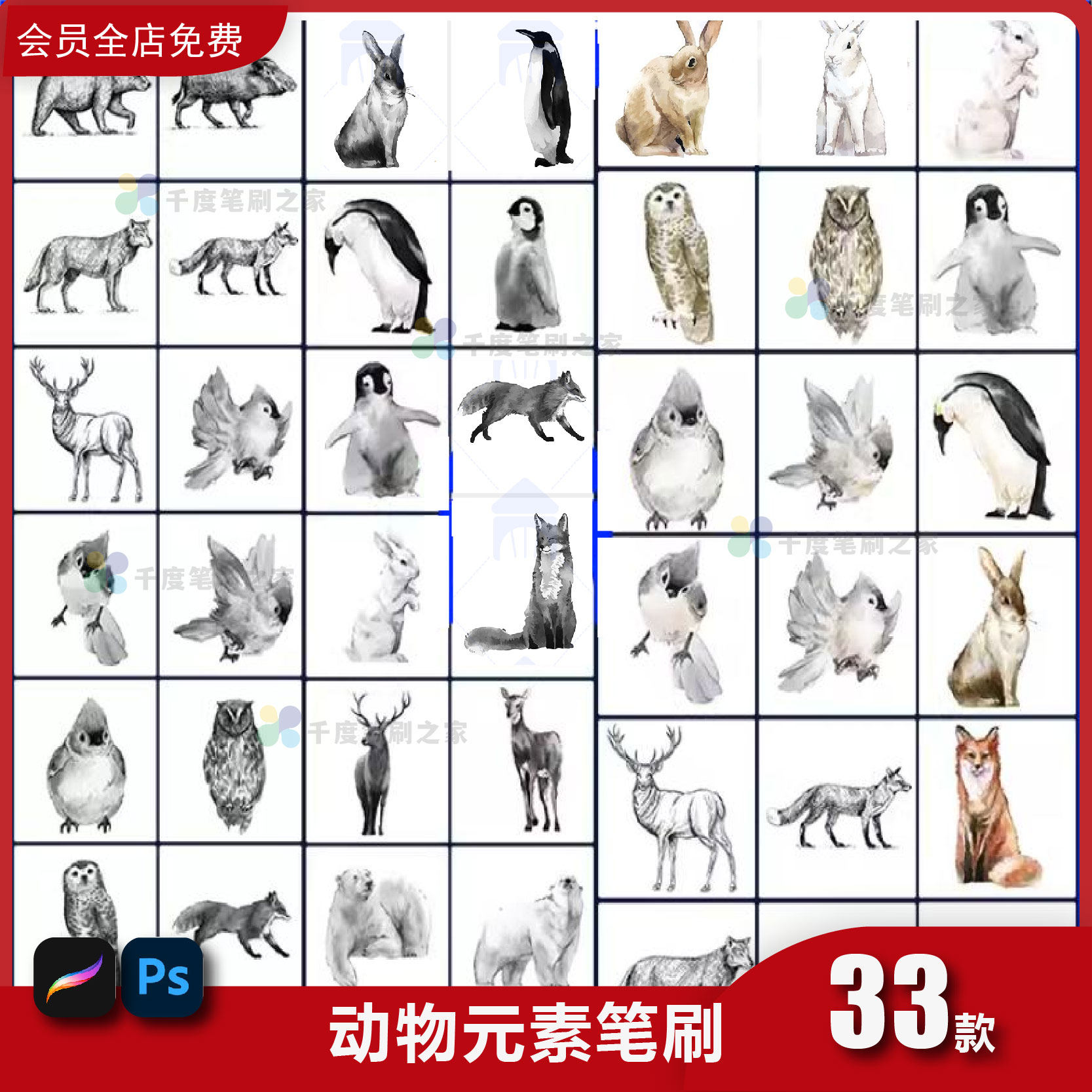 动物线稿图形procreate笔刷ps画笔刷ai矢量图企鹅狐狸熊黑白线稿