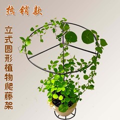 龟甲龙爬藤架山乌龟金不换园艺植物简约各种造型铁艺攀爬圆形花架