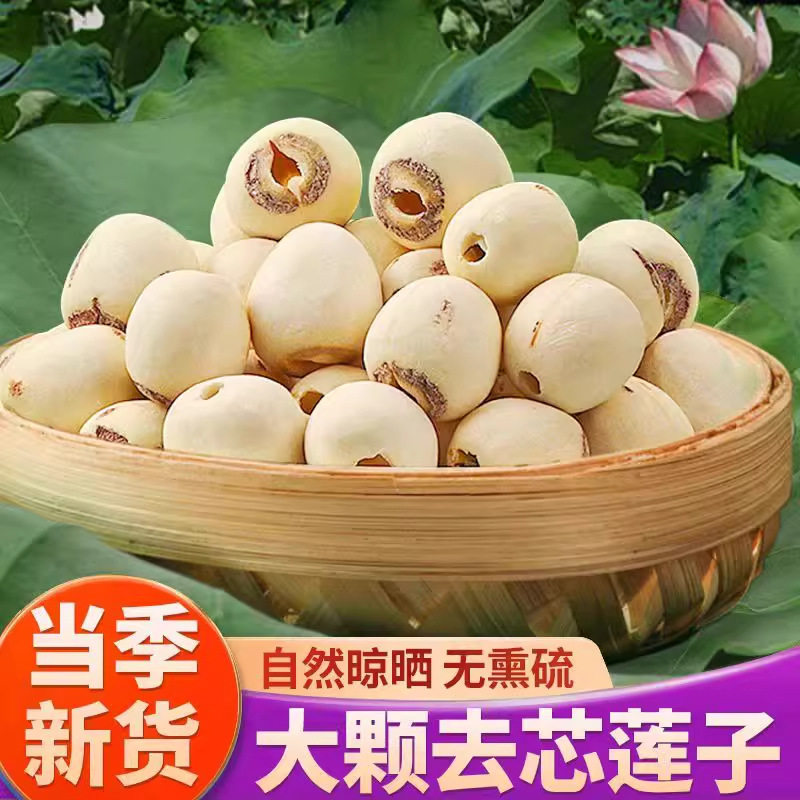 山姆必买【新货】莲子干货湖南湘潭严选莲子新鲜磨皮去心白莲子百