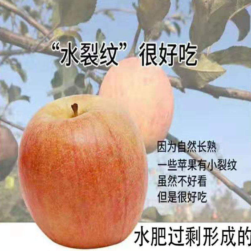 正宗山西运城临猗红富士苹果10斤新鲜野生丑冰糖心脆甜整箱包邮水