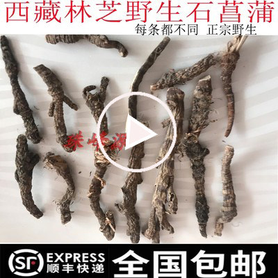 先用后付款 250克顺丰包邮  西藏林芝野生石菖蒲 藏菖蒲  菖蒲