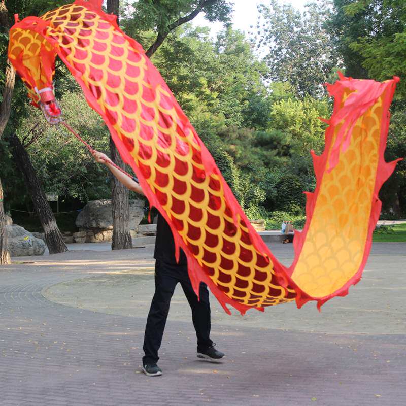 甩龙健身龙彩带广场舞龙头飘带单人甩彩龙成人手甩健身龙8米10米