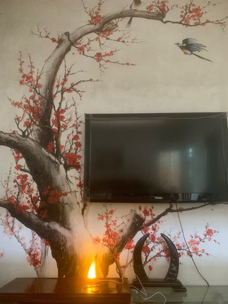 牛角摆件小夜灯护眼灯实木led灯圆形灯座白光暖光usb插电台灯包邮