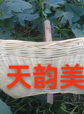 竹编竹筐竹篮子篦子箩筐箩头超大号老式编织簸箕民宿提篮菜篮子