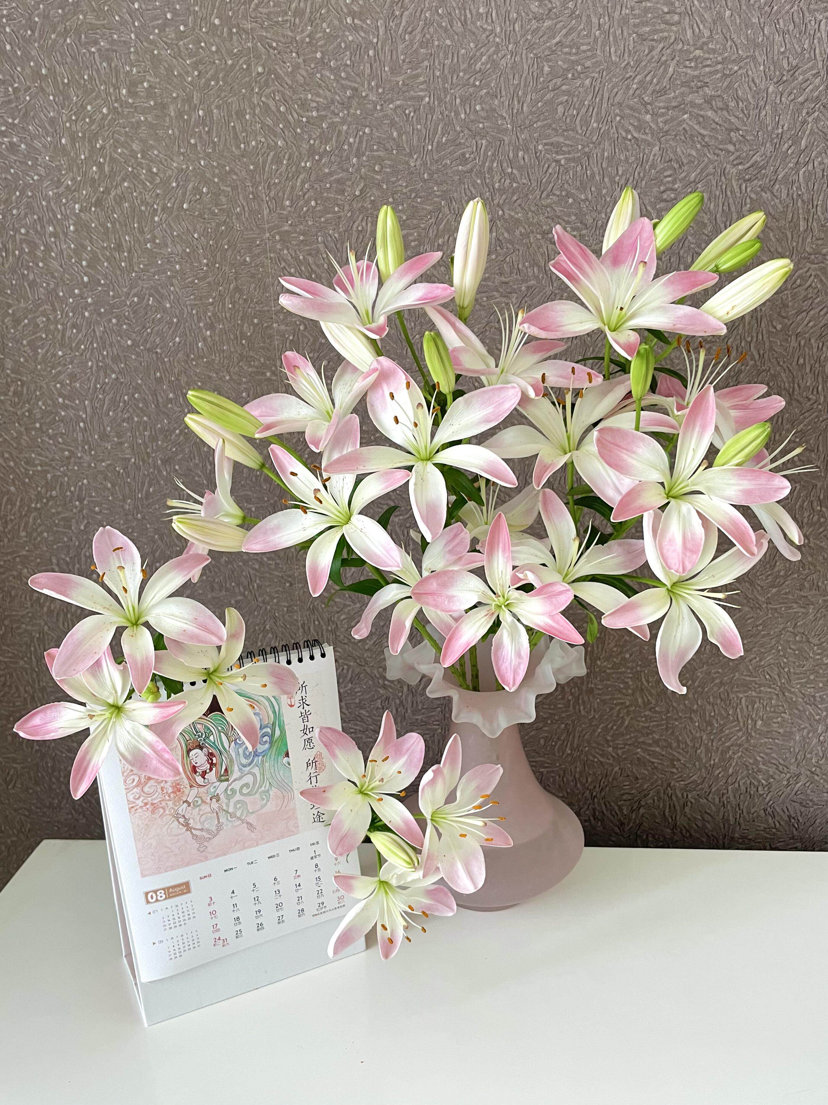 小众稀缺迷你萌萌哒亚百合鲜花云南昆明鲜花优质鲜花高品质