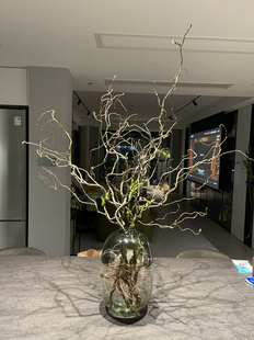 龙柳枝条树枝树干装饰室内高级感侘寂风天然真干花摆件插花干鲜枝