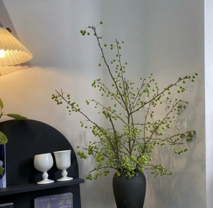 绿色海棠果鲜切枝鲜花云南直发海棠果插花水培绿植棠梨果插瓶花束