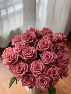 A级调香师玫瑰 云南基地直发高端优质玫瑰 新鲜鲜花玫瑰花