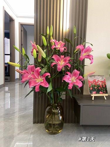 A级罗宾娜百合鲜花云南基地直发昆明斗南直批空运水养花苞顺丰