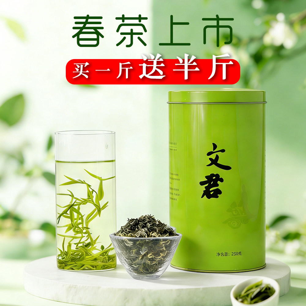 文君茶2026明前春茶新茶明前茶碧螺春毛尖头采嫩芽散装四川特产